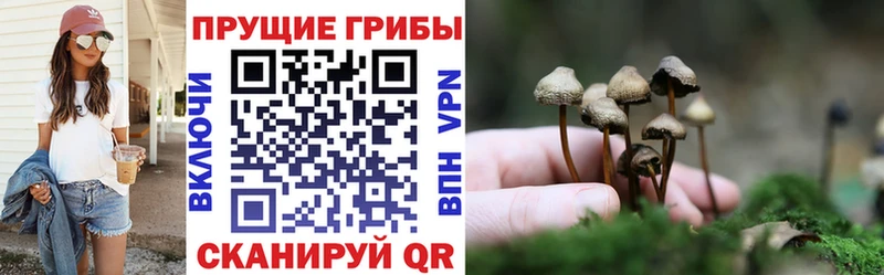 Псилоцибиновые грибы Magic Shrooms  Купить закладки  Касимов 